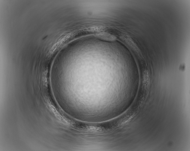 X0000116370585200912161440