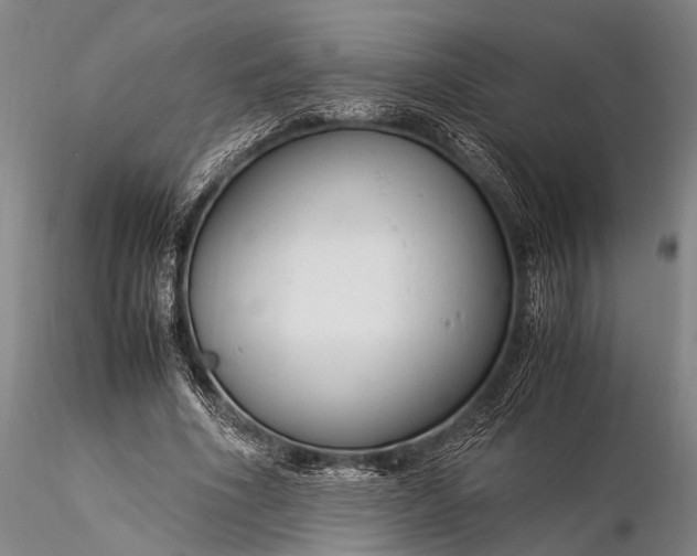 X0000116370586200912161440