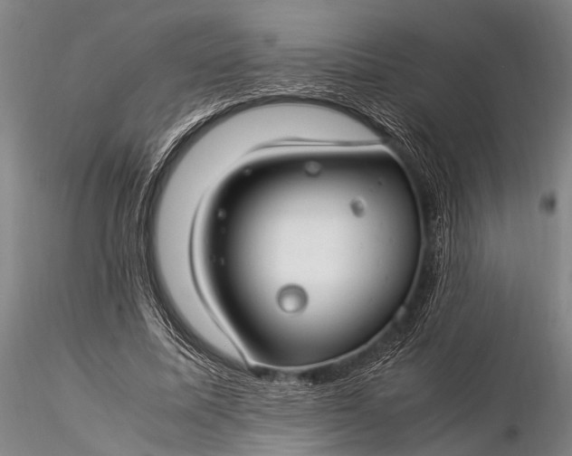 X0000116370587200912161440