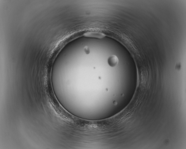 X0000116370588200912161440