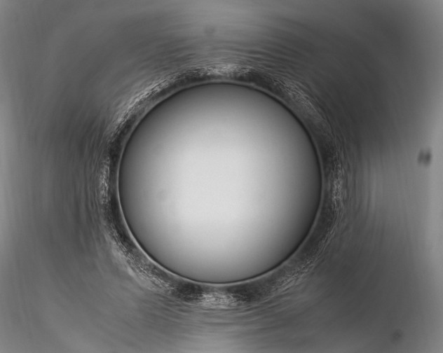 X0000116370591200912161440