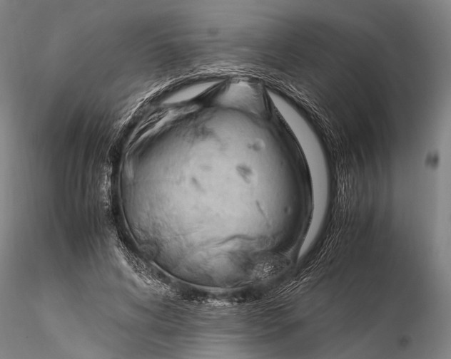 X0000116370592200912161440