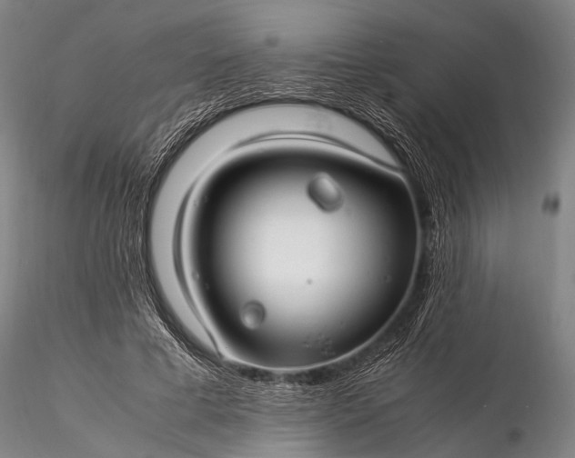 X0000116370593200912161440