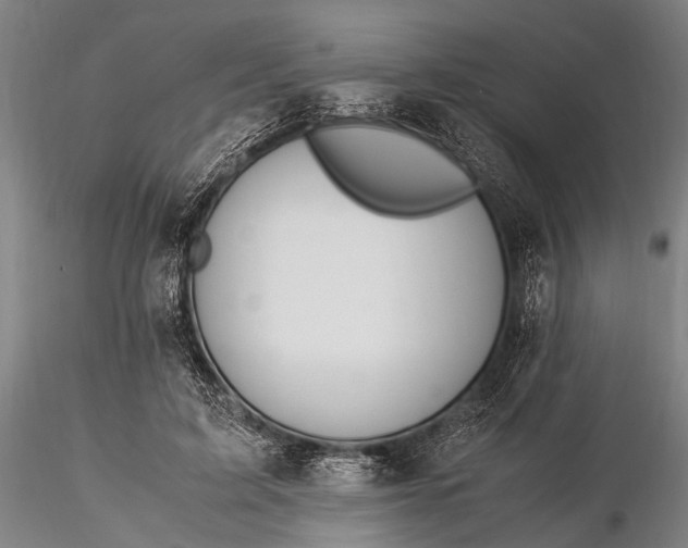 X0000116370595200912161440