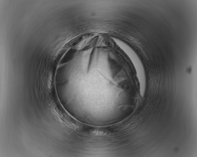 X0000116370596200912161440