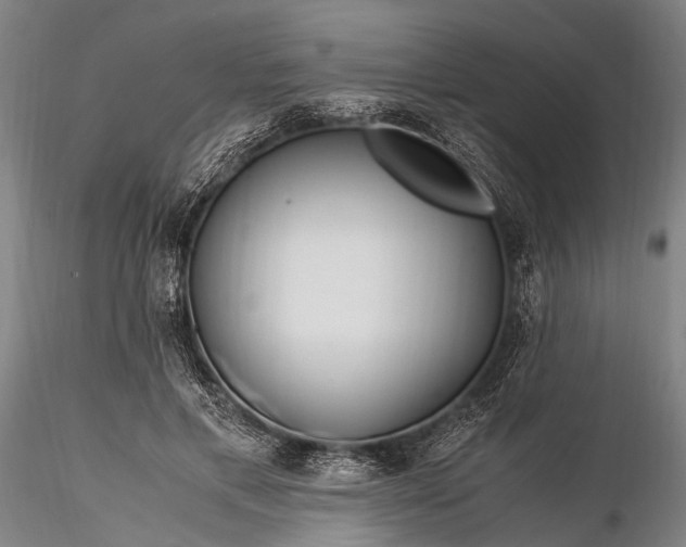 X0000116370597200912161440