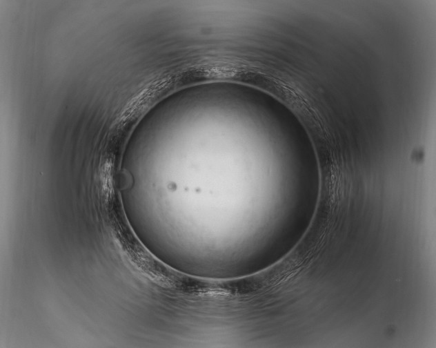 X0000116370598200912161440