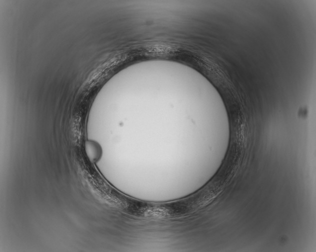 X0000116370599200912161440