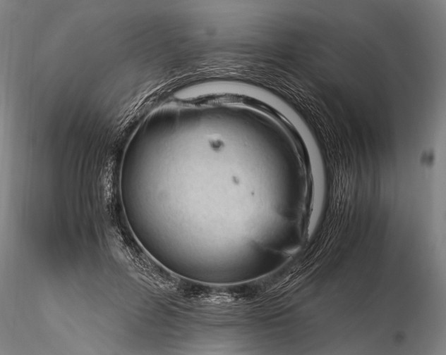 X0000116370600200912161440