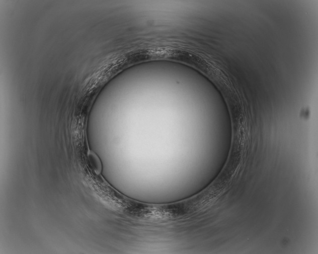 X0000116370601200912161440