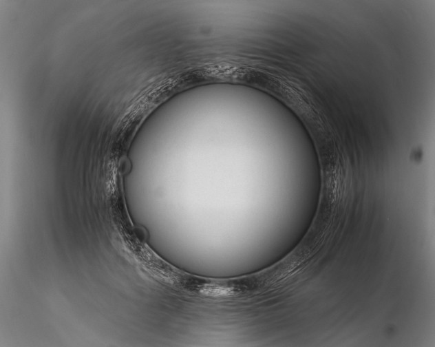 X0000116370602200912161440