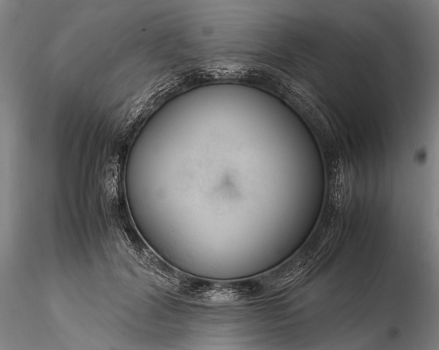 X0000116370604200912161440