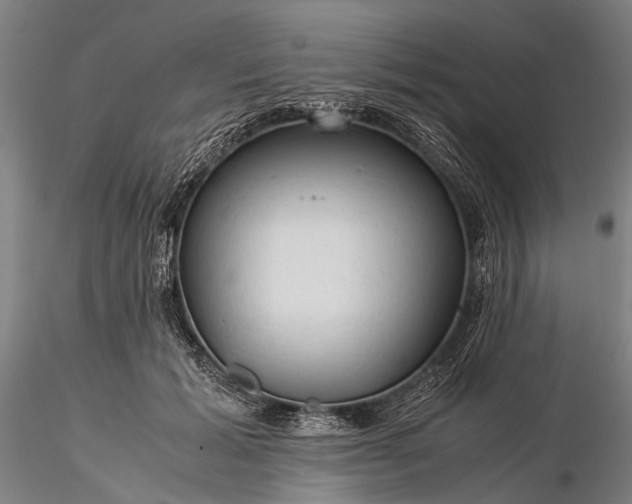 X0000116370605200912161440