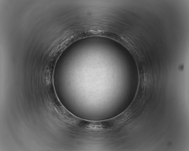 X0000116370606200912161440