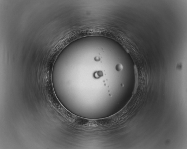 X0000116370608200912161440