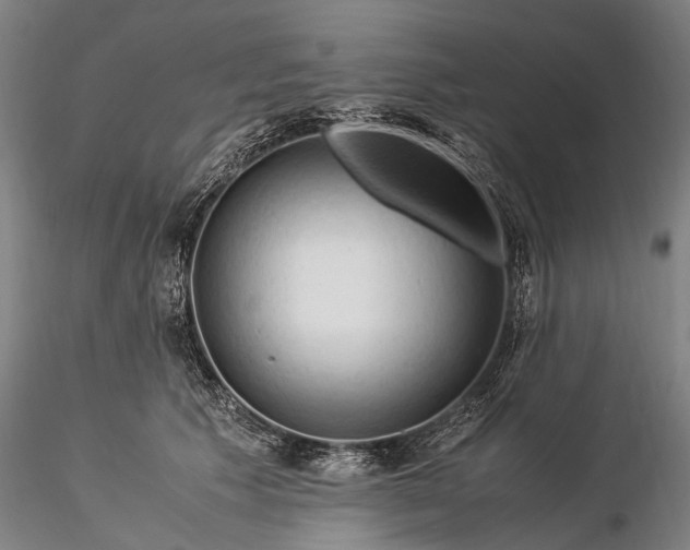 X0000116370609200912161440