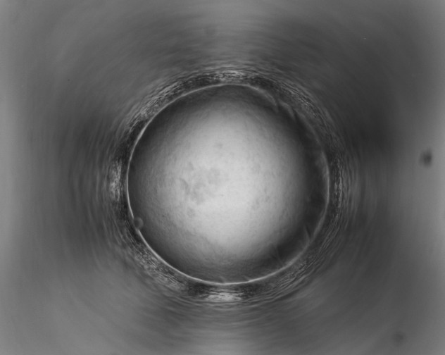 X0000116370610200912161440