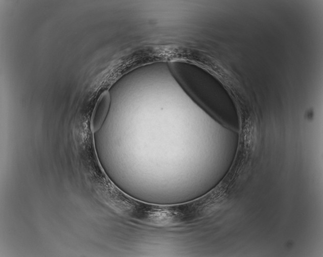 X0000116370611200912161440