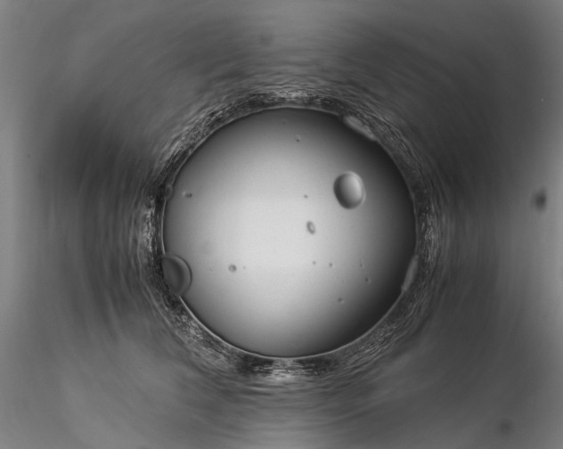 X0000116370612200912161440