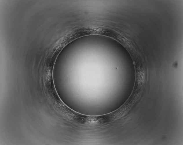 X0000116370613200912161440