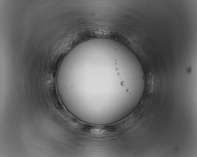 X0000116370614200912161440