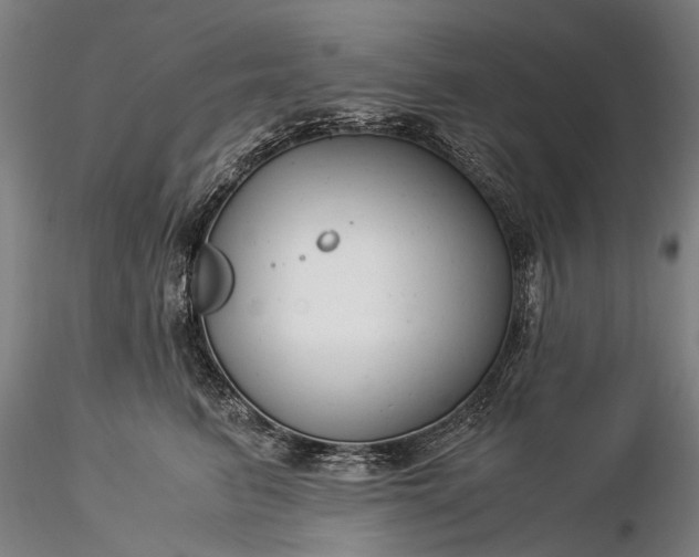 X0000116370615200912161440