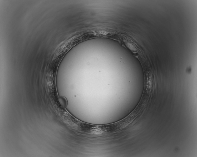 X0000116370616200912161440