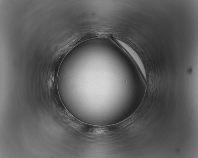 X0000116370618200912161439