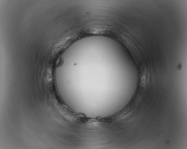 X0000116370620200912161439