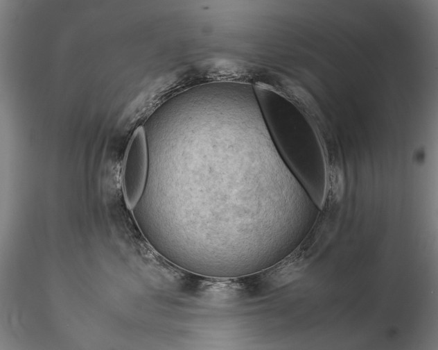 X0000116370621200912161439