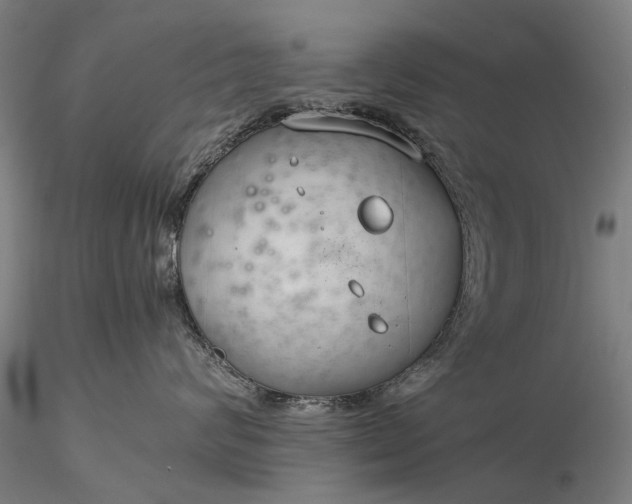 X0000116370624200912161439