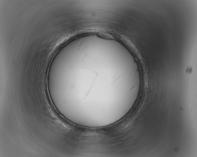 X0000116370625200912161439