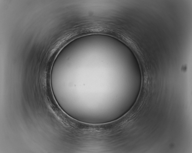 X0000116370626200912161439