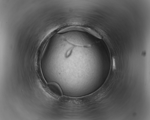 X0000116370627200912161439