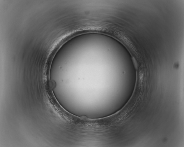 X0000116370628200912161439