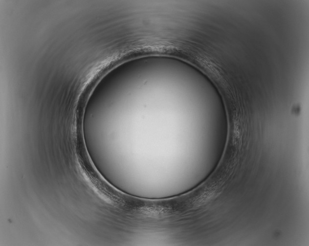 X0000116370630200912161439