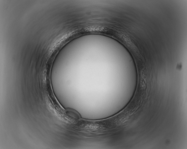 X0000116370631200912161439