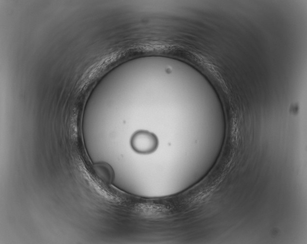 X0000116370633200912161439