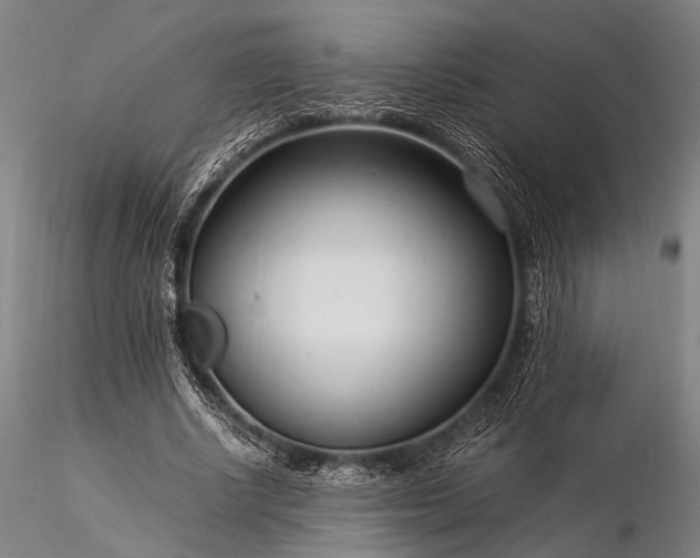 X0000116370634200912161439