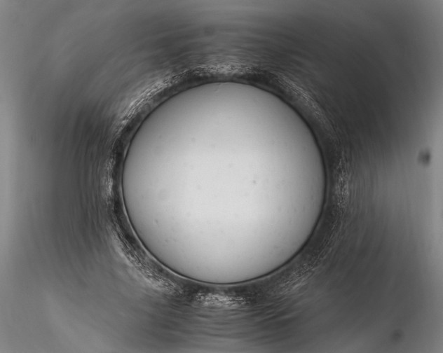 X0000116370635200912161439