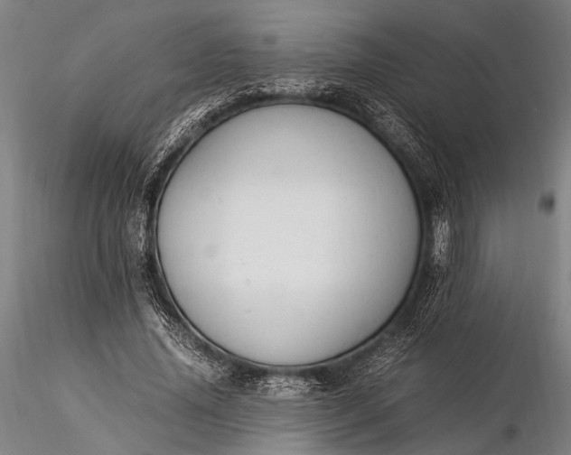 X0000116370636200912161439