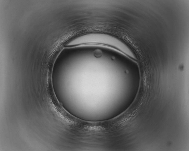 X0000116370637200912161439