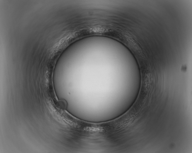 X0000116370639200912161439