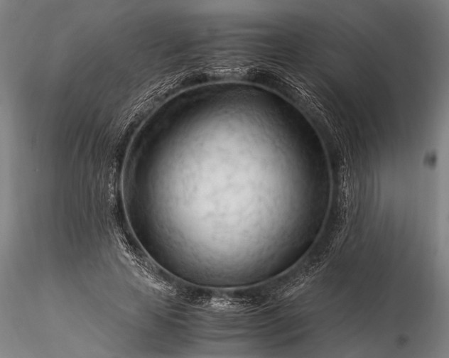 X0000116370641200912161439