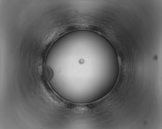 X0000116370642200912161439