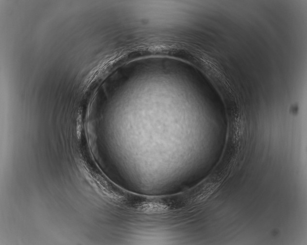 X0000116370644200912161439