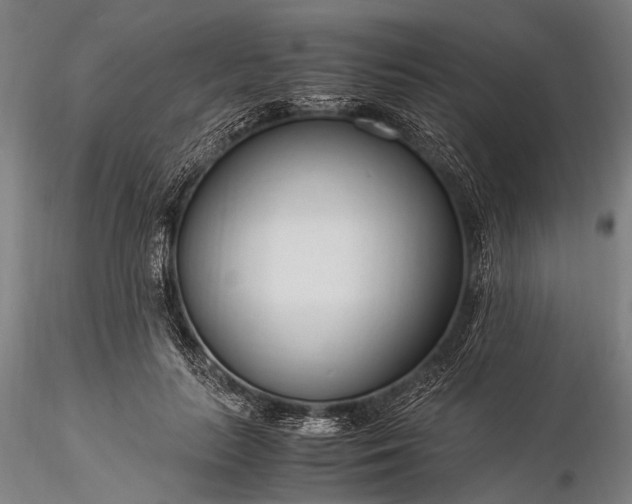 X0000116370647200912161439