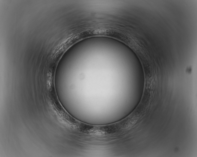 X0000116370648200912161439