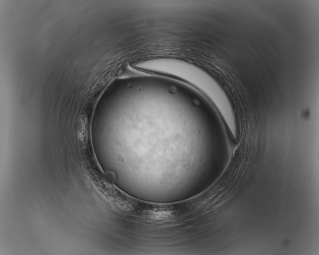 X0000116370651200912161439