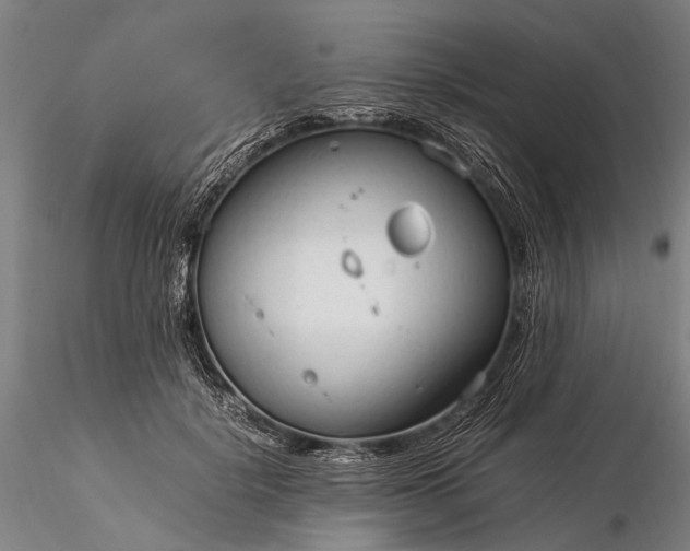 X0000116370652200912161439